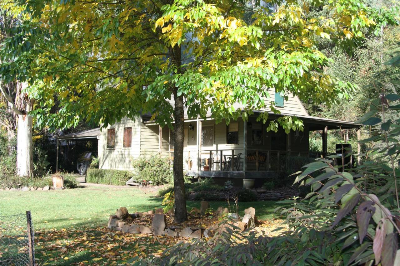 Shady Brook Cottages Harrietville Exterior foto